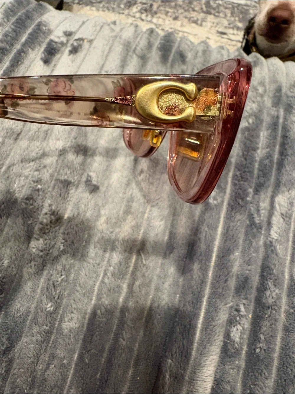 Coach women sunglasses